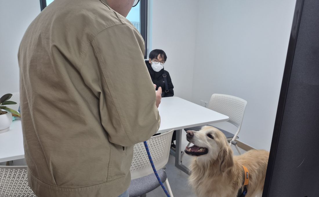 동물교감 교육 활동