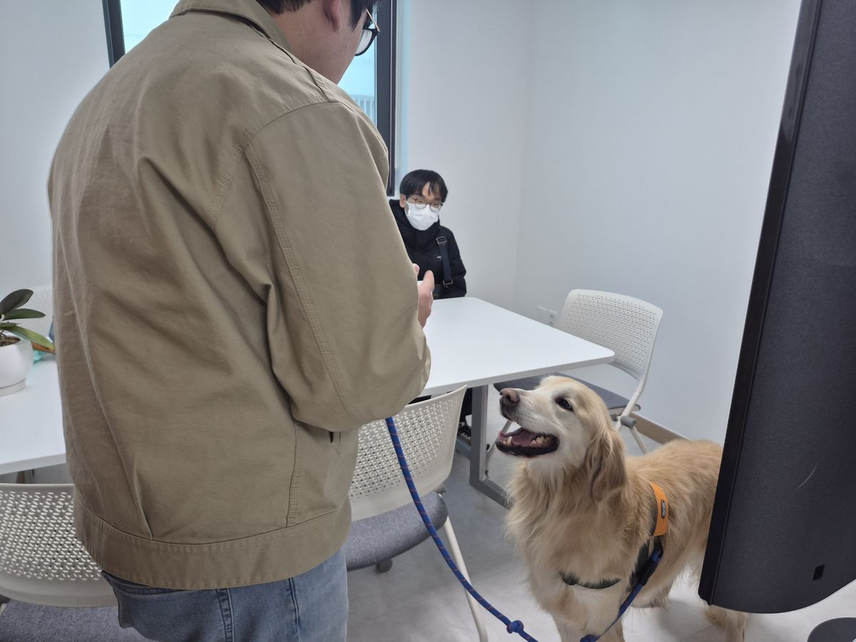 동물교감 교육 RE:Dog 활동 현장